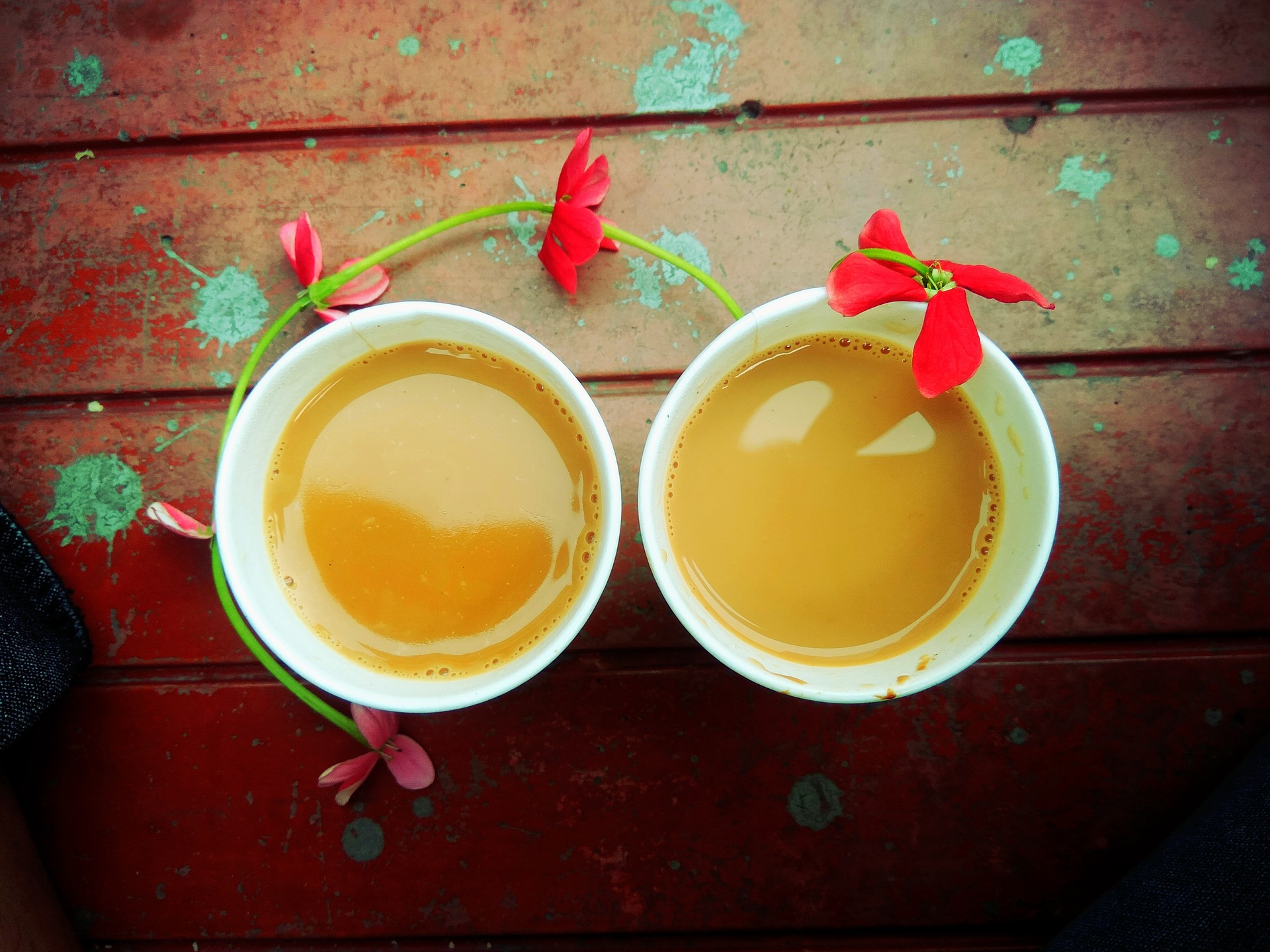 bio, chai, chai definition, chai latte, chai latte recette, chai tea, chai thé, gazette, gazette bio, indien, masala, nature, recette, recette facile, santé, tchaï, thé, thé assam, thé chai, thé chai latté, thé chai latté recette, thé chai sachet, thé chaud, thé noir, thé tchaï