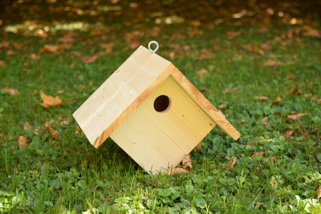 SALALIS Nichoir en bois bricolage Nichoir en Bois Innovant Petite Maison d'Oiseau animalerie